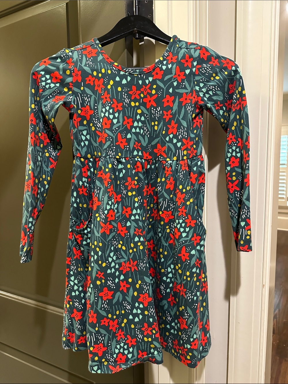 Hanna Andersson Teal Long-Sleeve Dress with Red Floral Print